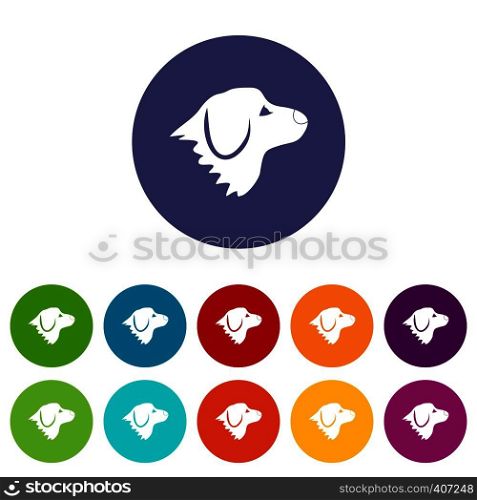 Retriever dog set icons in different colors isolated on white background. Retriever dog set icons