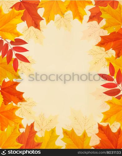 Retro autumn background with colorful leaves. Vector.