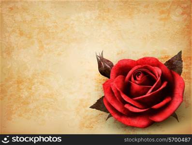 Retro background with beautiful red rose with buds. Vector illustration.