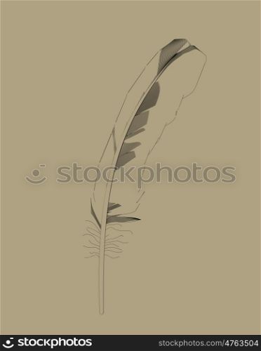Retro Bird Feather Drawing in Vector Illustration. EPS10. Retro Bird Feather Drawing in Vector Illustration.