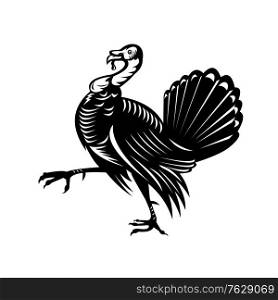Retro black and white style illustration of a wild turkey, a large bird in the genus Meleagris, which is native to the Americas, marching viewed from side on isolated white background.. Wild Turkey Marching Side View Retro Black and White
