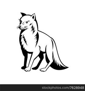 Retro black and white style illustration of an Arctic fox, also known as white fox, polar fox, or snow fox, a small fox native to the Arctic regions of the Northern Hemisphere on isolated background.. Arctic Fox Polar Fox or Snow Fox Side View Retro Black and White