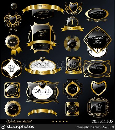 Retro black gold label/can be used for invitation, congratulation or website layout vector