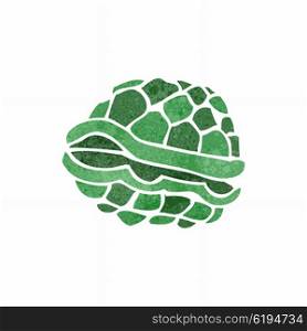 retro cartoon turtle shell