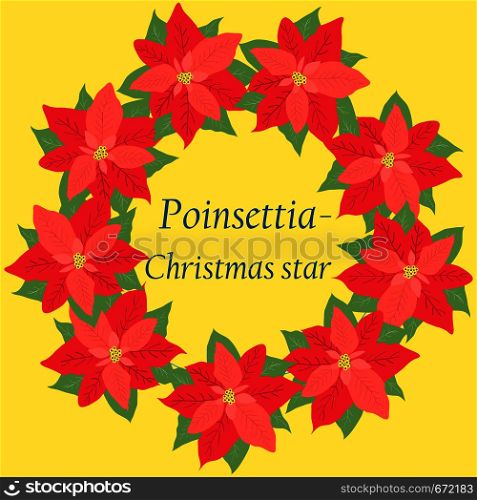 Retro Christmas card with flower poinsettia - Christmas star