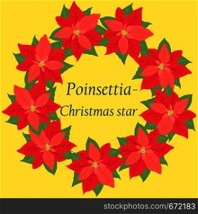 Retro Christmas card with flower poinsettia - Christmas star
