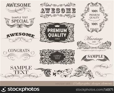 Retro floral calligraphic design elements and page decoration