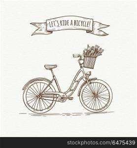 retro sketch bicycle