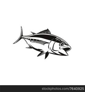 Retro style illustration of a bigeye tuna thunnus obesus, a species of true tuna of genus thunnus, belonging to the mackerel family scombridae swimming on isolated background done in black and white.. Bigeye Tuna Thunnus Obesus Swimming Down Retro Black and White