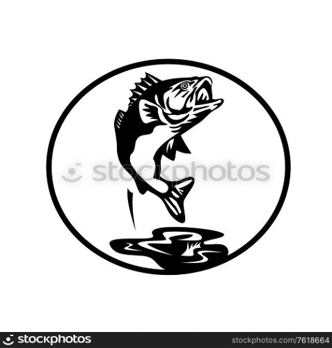 Retro style illustration of a largemouth bass (Micropterus salmoides), a carnivorous freshwater gamefish in Centrarchidae (sunfish) family, a species of black bass jumping up done in black and white.. Largemouth Bass Jumping Up Retro Black and White