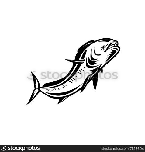 Retro style illustration of a mahi-mahi, dorado or common dolphinfish (Coryphaena hippurus), a surface-dwelling ray-finned fish, jumping up done in black and white on isolated background.. Mahi-mahi or Common Dolphinfish Jumping Up Retro Black and White