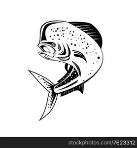 Retro style illustration of a mahi-mahi, dorado or common dolphinfish Coryphaena hippurus, a surface-dwelling ray-finned fish, jumping up high done in black and white on isolated background.. Mahi-mahi or Common Dolphinfish Jumping Up High Retro Black and White