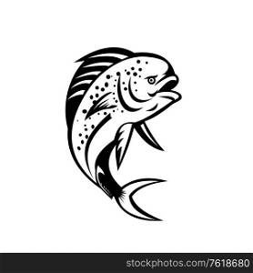 Retro style illustration of a pompano dolphinfish (Coryphaena equiselis), a surface-dwelling ray-finned fish, jumping up done in black and white on isolated background.. Pompano Dolphinfish Jumping Up Retro Black and White