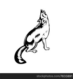 Retro style illustration of a red fox, largest of the true foxes and the most widely distributed members of the order Carnivora, howling viewed from side on isolated background in black and white.. Red Fox Howling Viewed from Side Retro Black and White Style