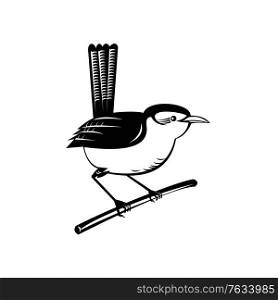 Retro style illustration of a wren, a family of brown passerine birds in the predominantly New World family Troglodytidae, perching on branch twig on isolated background in black and white.. Wren Brown Passerine Bird Perching on Branch Retro Black and White