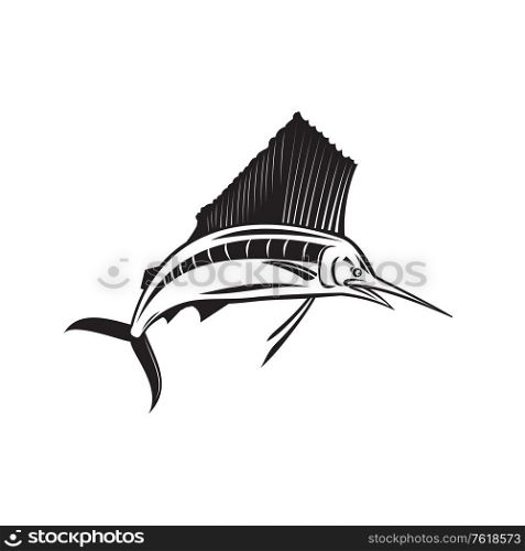 Retro style illustration of an angry Atlantic sailfish, a fish of the genus Istiophorus of billfish living in colder sea areas, jumping up viewed from front on isolated background done in black and white.. Angry Atlantic Sailfish Jumping Up Side View Retro Black and White