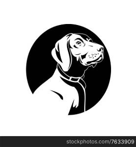 Retro style illustration of head of a German Shorthaired Pointer, a medium to large sized breed of hunting and gun dog developed in Germany isolated background black and white.. Head of a German Shorthaired Pointer Dog Retro Black and White
