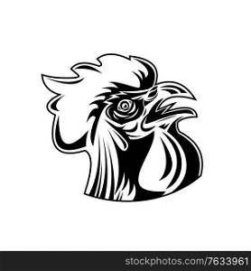 Retro style illustration of head of a rooster, jungle fowl or cockerel, an adult male chicken Gallus gallus domesticus, looking up viewed from side on isolated background done in black and white.. Rooster Jungle Fowl or Cockerel Looking Up Retro Black and White