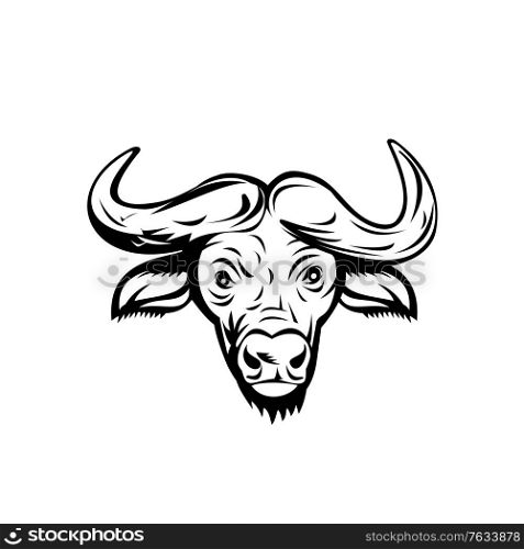 Retro style illustration of head of an African buffalo or Cape buffalo, a large sub-Saharan African bovine viewed from front on isolated background done in black and white.. Head of an African Buffalo or Cape Buffalo Front View Retro Black and White