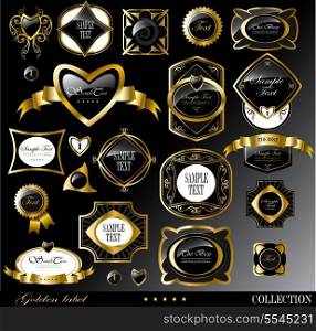 Retro vector golden label/can be used for invitation, congratulation or website layout vector