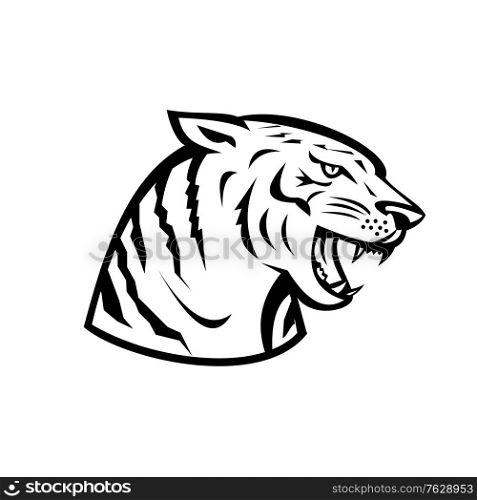 Retro woodcut black and white style illustration head of an angry Bengal tiger growling viewed from side on isolated background done in retro style.. Head of Bengal Tiger Growling Side Woodcut Retro Black and White