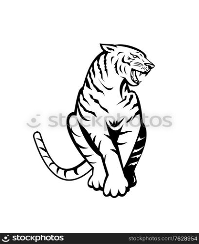 Retro woodcut black and white style illustration of an angry Bengal tiger growling and sitting viewed from front on isolated background done in retro style.. Bengal Tiger Growling Sitting Front Woodcut Retro Black and White