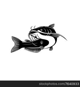 Retro woodcut style illustration of a blue catfish Ictalurus furcatus, largest species of North American catfish, swimming up on isolated background done in black and white.. North American Blue Catfish Ictalurus Furcatus Swimming Up Retro Woodcut Black and White