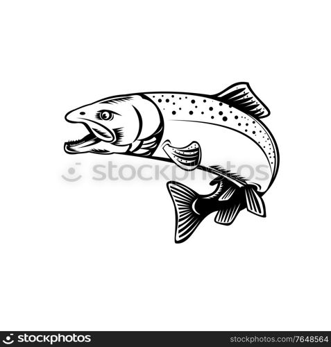 Retro woodcut style illustration of a Chinook salmon, Oncorhynchus tshawytscha, Quinnat salmon, king salmon, chrome hog or Tyee, jumping side view on isolated background done in black and white.. Chinook Salmon Oncorhynchus Tshawytscha Quinnat Salmon King Salmon or Chrome Hog Retro Woodcut Black and White