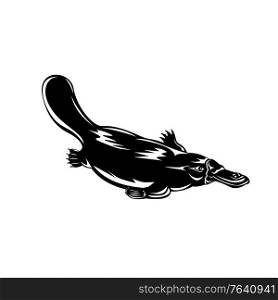 Retro woodcut style illustration of a duck-billed platypus Ornithorhynchus anatinus, a semiaquatic egg-laying mammal endemic to Australia swimming down isolated background done in black and white.. Duck-Billed Platypus Ornithorhynchus Anatinus Swimming Down Retro Woodcut Black and White