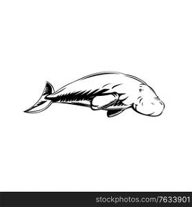 Retro woodcut style illustration of a dugong, a medium-sized marine mammal one of four living species of the order sirenia, viewed from side on isolated background in black and white.. Dugong Medium-Sized Marine Mammal Swimming Side Retro Woodcut Black and White