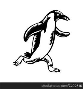 Retro woodcut style illustration of a gentoo penguin marathon runner running viewed from side on isolated background done in black and white.. Gentoo Penguin Running Woodcut