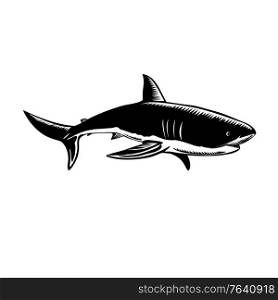 Retro woodcut style illustration of a great white shark Carcharodon carcharias, white shark or white pointer, a species of large mackerel shark side view done in black and white.. Great White Shark Carcharodon Carcharias White Shark or White Pointer Side View Retro Woodcut Black and White
