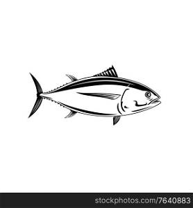 Retro woodcut style illustration of a Pacific albacore Thunnus alalunga or longfin tuna, a species of tuna of the order Perciformes a pelagic predator viewed from side done in black and white.. Pacific Albacore Thunnus Alalunga or Longfin Tuna Side View Retro Woodcut Black and White