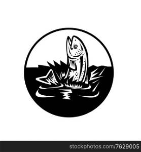 Retro woodcut style illustration of a rainbow trout, a trout species of salmonid native to cold-water tributaries of the Pacific Ocean, jumping up water on isolated background done in black and white.. Rainbow Trout Jumping Up Water Retro Woodcut Black and White