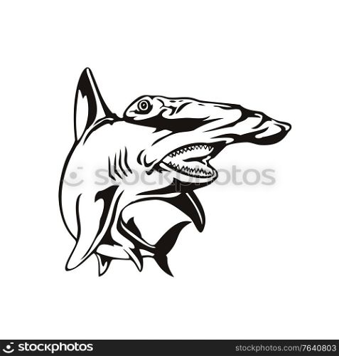 Retro woodcut style illustration of a scalloped hammerhead Sphyrna lewini, a species of hammerhead shark, and part of the family Sphyrnidaeon viewed from front isolated background in black and white.. Scalloped Hammerhead Shark or Sphyrna Lewini Front View Retro Woodcut Black and White