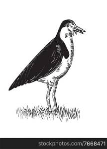 Retro woodcut style illustration of a Spur-winged Plover or masked lapwing standing viewed from side on isolated background done in black and white.. Spur-Winged Plover or Masked Lapwing Standing Woodcut Black and White