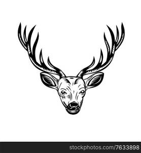 Retro woodcut style illustration of a stag, buck or deer hunter with hunting rifle viewed from front on isolated background done in black and white.. Head of Stag Buck or Deer Front View Retro Woodcut Black and White