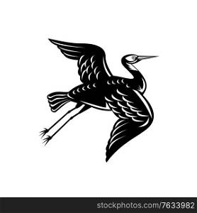 Retro woodcut style illustration of a white-faced heron Egretta novaehollandiae, white-fronted heron, grey heron or blue crane, a common bird in Australasia on isolated background in black and white.. White-Faced Heron Egretta Novaehollandiae or White-Fronted Heron Flying Retro Woodcut Black and White