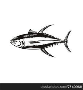 Retro woodcut style illustration of a yellowfin tuna thunnus albacares, a species of tuna found in pelagic waters of tropical and subtropical oceans on isolated background done in black and white.. Yellowfin Tuna or Thunnus Albacares Swimming Side Retro Woodcut Black and White