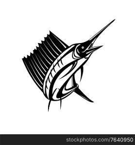 Retro woodcut style illustration of an Atlantic sailfish or Indo-Pacific sailfish, a fish of genus istiophorus of billfish living in cold areas, jumping up isolated background done in black and white.. Atlantic Sailfish or Indo-Pacific Sailfish a Billfish Jumping Up Retro Woodcut Black and White