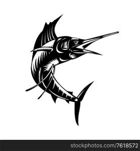 Retro woodcut style illustration of an Atlantic sailfish or Istiophorus albicans, a billfish living in the Atlantic areas, jumping up viewed from front on isolated background done in black and white.. Atlantic Sailfish Jumping Up Viewed From Side Woodcut Retro Black and White