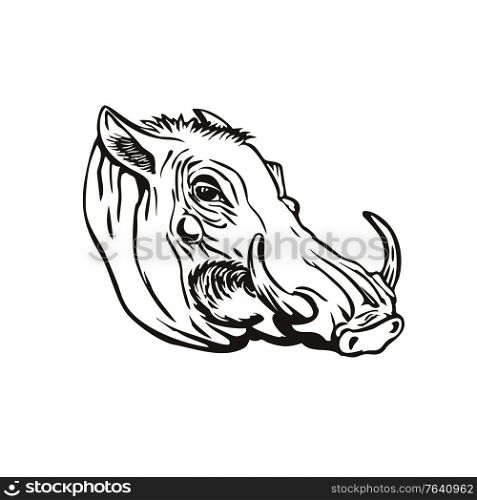 Retro woodcut style illustration of head of a common warthog or Phacochoerus africanus, a wild member of the pig family Suidae found in sub-Saharan Africa on isolated background in black and white.. Head of Common Warthog or Phacochoerus Africanus Side View Retro Woodcut Black and White