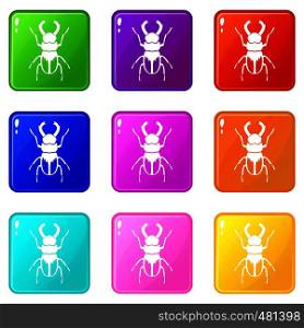 Rhinoceros beetle icons of 9 color set isolated vector illustration. Rhinoceros beetle set 9