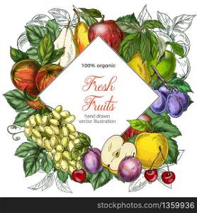 Rhombus banner template. Garden fruits, colored hand drawn vector illustrations.