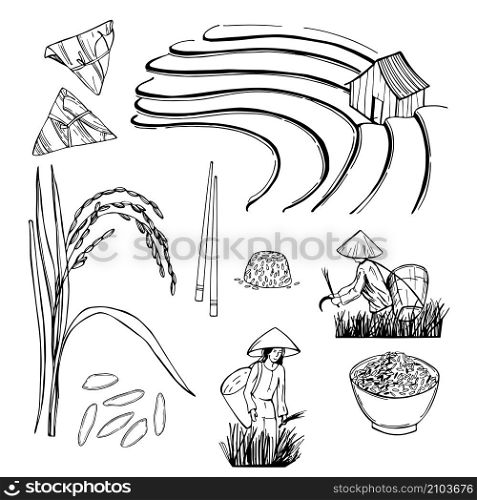 Rice cultivation in Asia. Vector sketch illustration.. Rice cultivation in Asia.