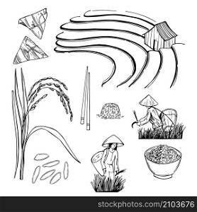 Rice cultivation in Asia. Vector sketch illustration.. Rice cultivation in Asia.