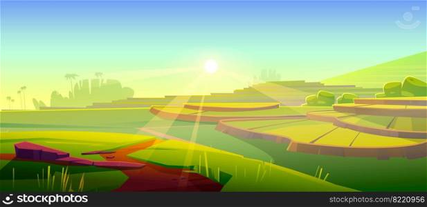 Rice field terraces, green paddy at morning. Vector cartoon illustration of summer landscape with crop plantation on hills at sunrise. Asian terraced farmland and sun rays. Rice field terraces, green paddy at morning