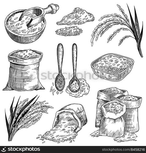 Rice grain in sacks and bowls sketch set. Rice ears plant vector illustration. Hand drawn cereal food product elements collection. Harvest, agriculture concept
