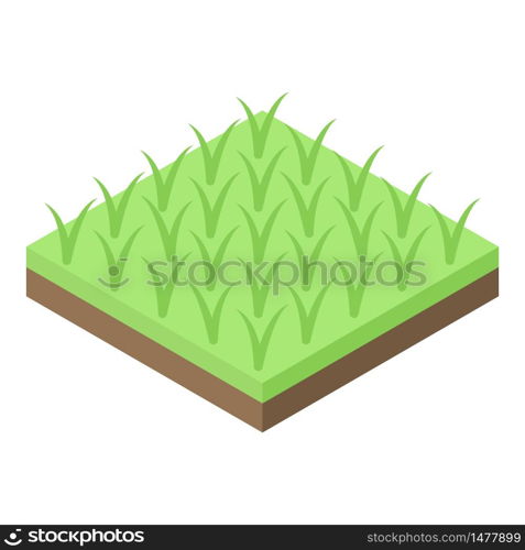 Rice plantation icon. Isometric of rice plantation vector icon for web design isolated on white background. Rice plantation icon, isometric style
