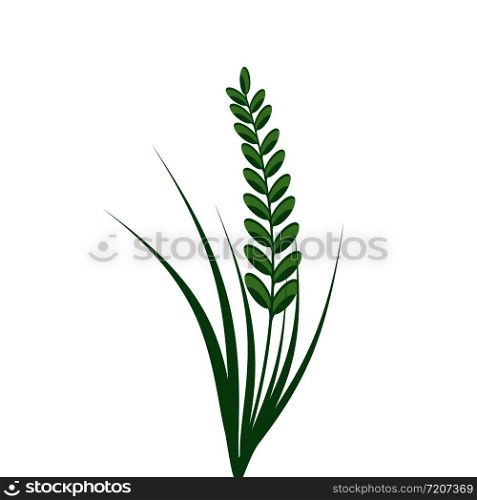 Rice spikelet icon on white background. Vector eps10